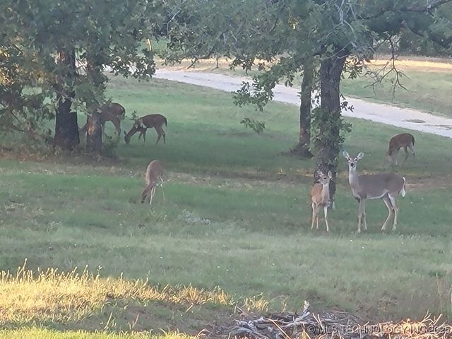 30 Peach Street, Healdton, OK 73438