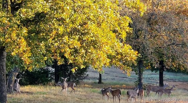 30 Peach Street, Healdton, OK 73438