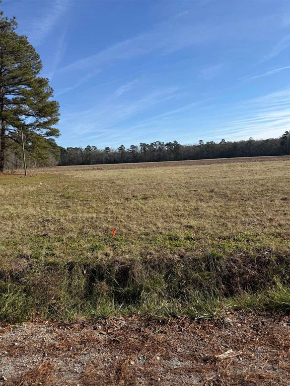 Lot 6 Johnson Shelley Rd., Conway, SC 29526
