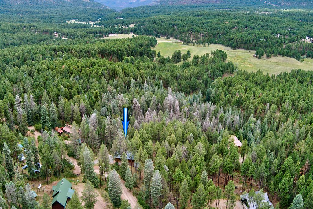 Image 37 of property listing at 1341 Los Griegos Road, Jemez Springs, NM 87025