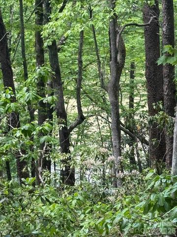 00 Canoe Drive 44, Mill Spring, NC 28756