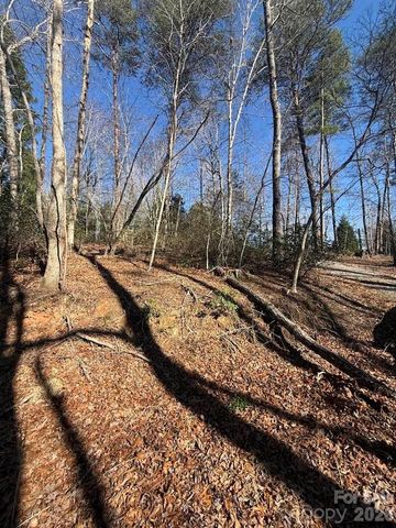 00 Canoe Drive 44, Mill Spring, NC 28756