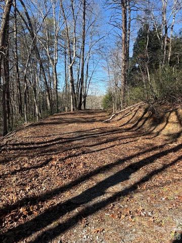 00 Canoe Drive 44, Mill Spring, NC 28756