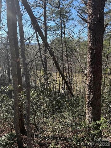 00 Canoe Drive 44, Mill Spring, NC 28756
