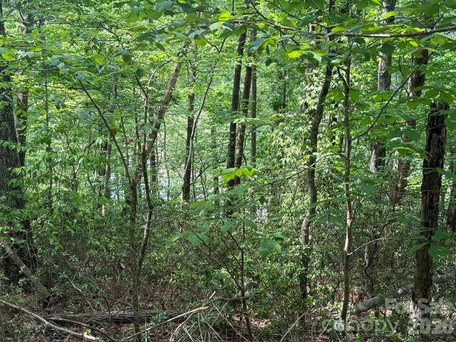 00 Canoe Drive 44, Mill Spring, NC 28756