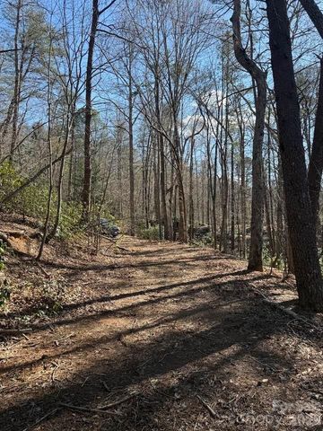 00 Canoe Drive 44, Mill Spring, NC 28756
