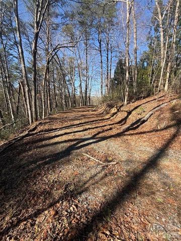 00 Canoe Drive 44, Mill Spring, NC 28756