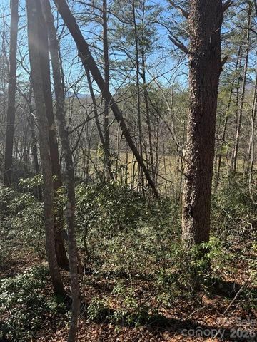 00 Canoe Drive 44, Mill Spring, NC 28756