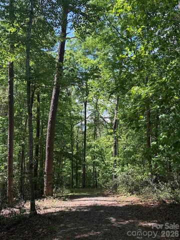 00 Canoe Drive 44, Mill Spring, NC 28756