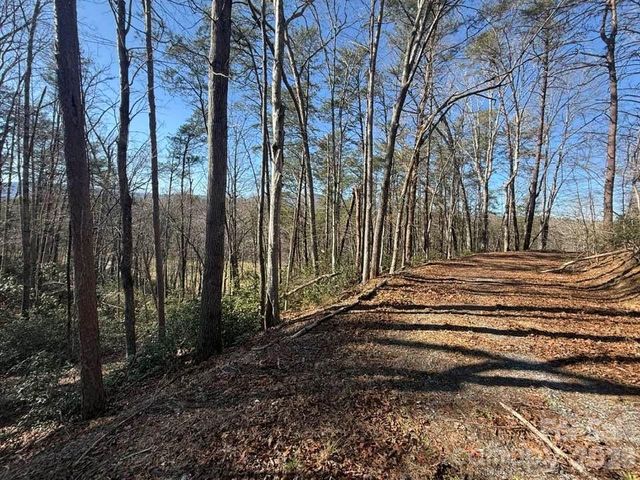 00 Canoe Drive 44, Mill Spring, NC 28756