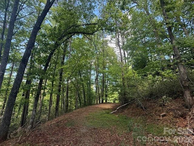 00 Canoe Drive 44, Mill Spring, NC 28756