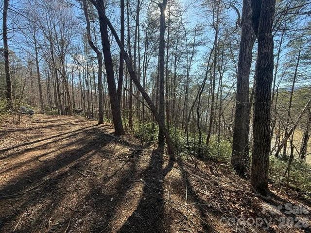 00 Canoe Drive 44, Mill Spring, NC 28756