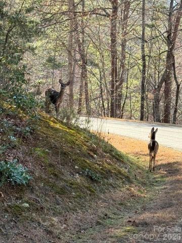 00 Canoe Drive 44, Mill Spring, NC 28756