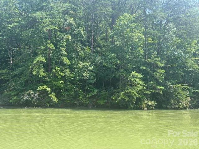 00 Canoe Drive 44, Mill Spring, NC 28756
