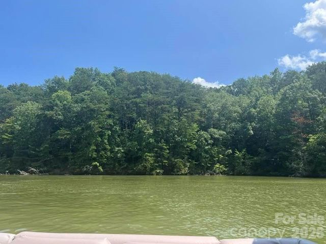 00 Canoe Drive 44, Mill Spring, NC 28756