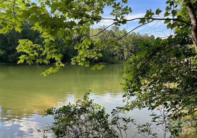 00 Canoe Drive 44, Mill Spring, NC 28756