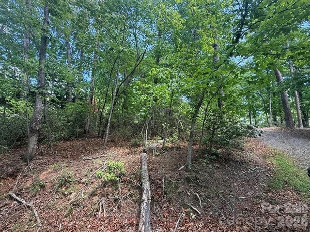 00 Canoe Drive 44, Mill Spring, NC 28756