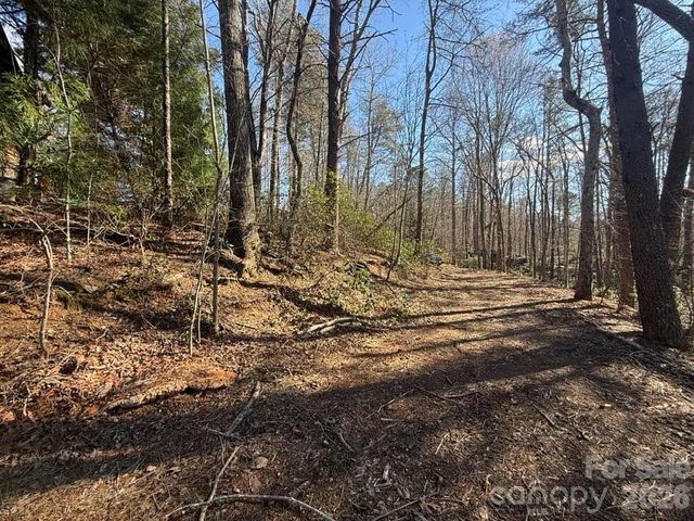 00 Canoe Drive 44, Mill Spring, NC 28756