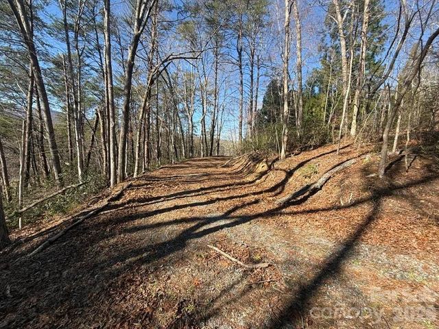 00 Canoe Drive 44, Mill Spring, NC 28756