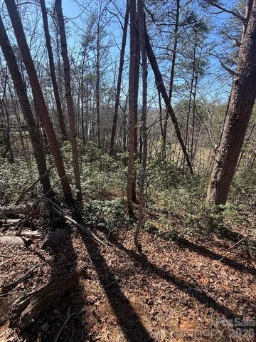 00 Canoe Drive 44, Mill Spring, NC 28756