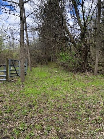 1329 E Isabella Road, Homer Twp, MI 48640