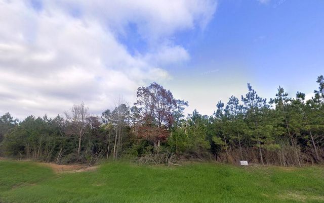 16018 Wood Grove Way, Willis, TX 77378