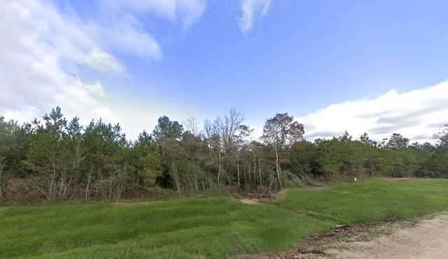 16018 Wood Grove Way, Willis, TX 77378