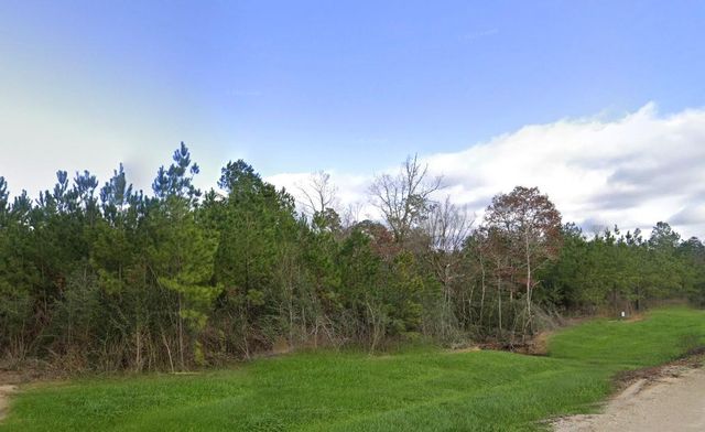 16018 Wood Grove Way, Willis, TX 77378