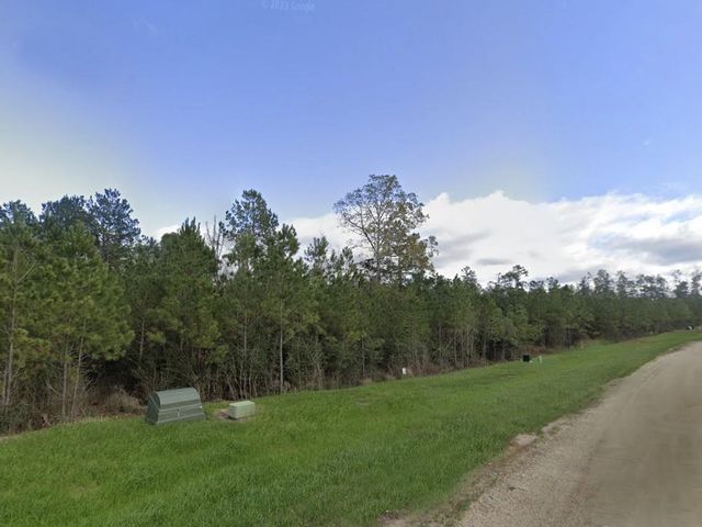 16018 Wood Grove Way, Willis, TX 77378