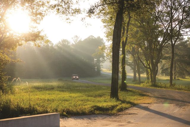 16018 Wood Grove Way, Willis, TX 77378