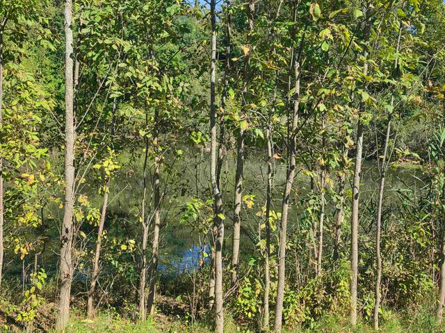 2345 Scenic Hollow Drive, Grand Blanc, MI 48439
