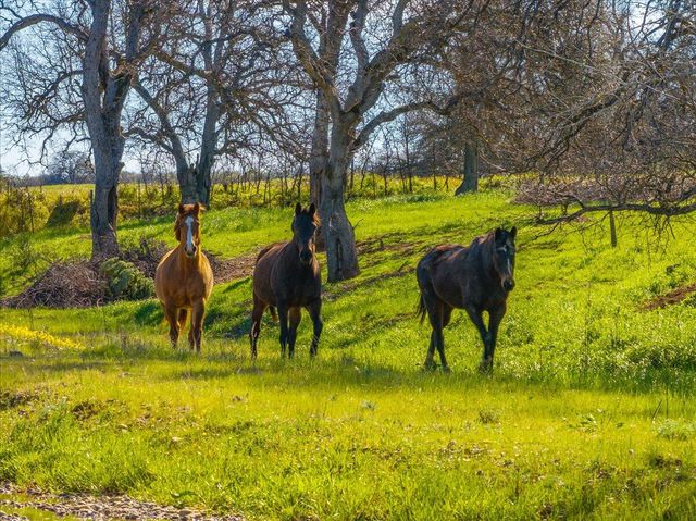 17257 Hooker Creek Road, Cottonwood, CA 96022