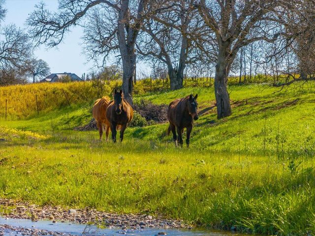 17257 Hooker Creek Road, Cottonwood, CA 96022