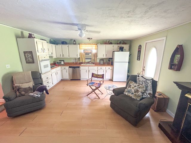 50 Apache Dr, Springville, TN 38256