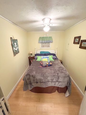 50 Apache Dr, Springville, TN 38256