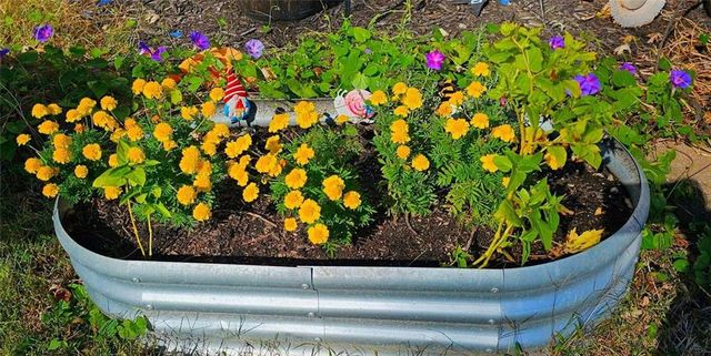 921 NE Locust Drive, Blue Springs, MO 64014