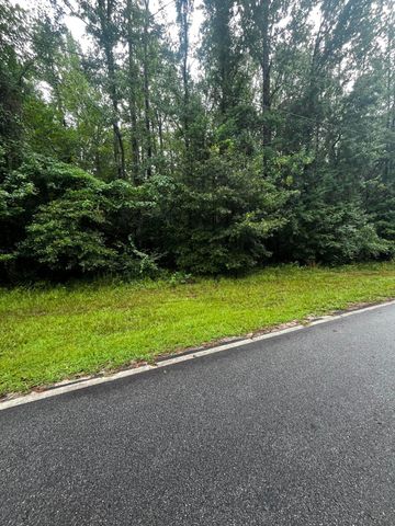 0 SE Liberty Street, Thomson, GA 30824