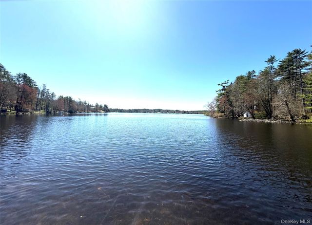 236 Lakeview Drive Road, Highland Lake, NY 12743