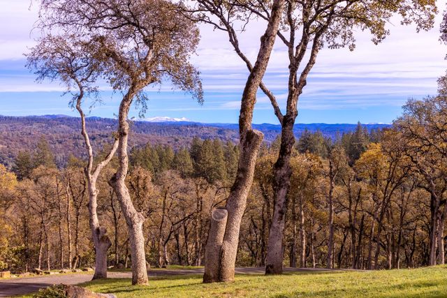 9130 Riverwood Dr, Placerville, CA 95667