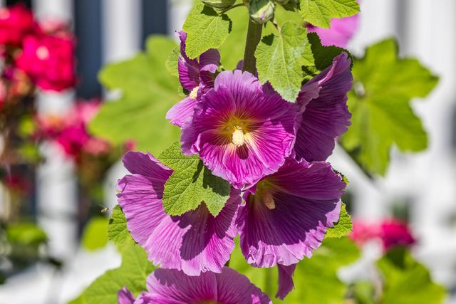 99 Route 130, Forestdale, MA 02644