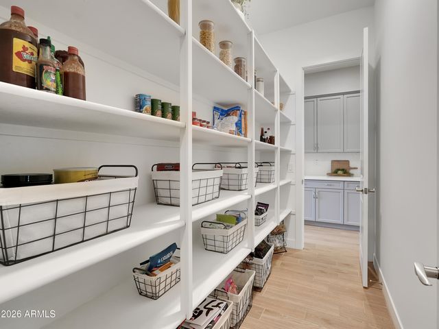 23017 E VIA DE OLIVOS --, Queen Creek, AZ 85142