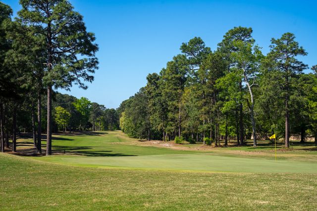 113 Sweetbay Drive, Aiken, SC 29803