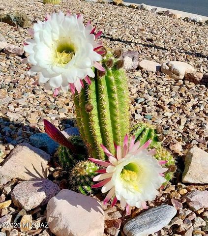 1030 S Barrel Cactus Rdg Unit 108, Benson, AZ 85602