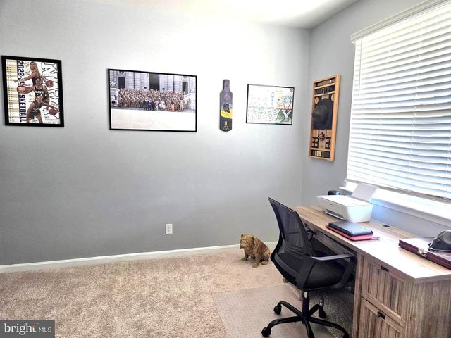 303 TERRAPIN CIR, Cambridge, MD 21613
