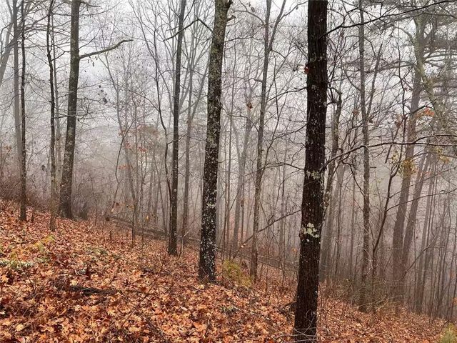 350 Azalea Ridge, Dahlonega, GA 30533