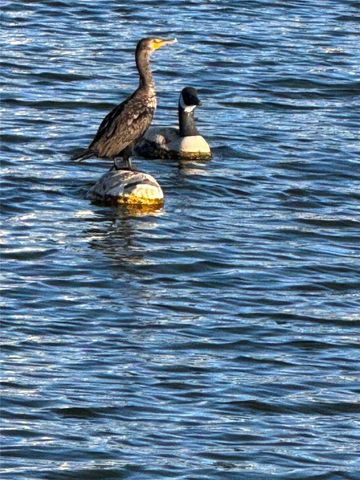 3308 Caracal Drive, Hutchinson Island, FL 34949