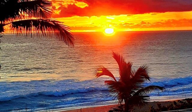 3308 Caracal Drive, Hutchinson Island, FL 34949