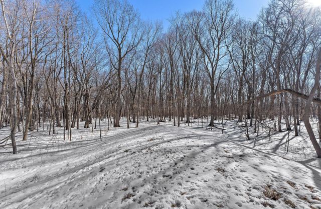 6201 Gustavus Drive, Independence, MN 55359