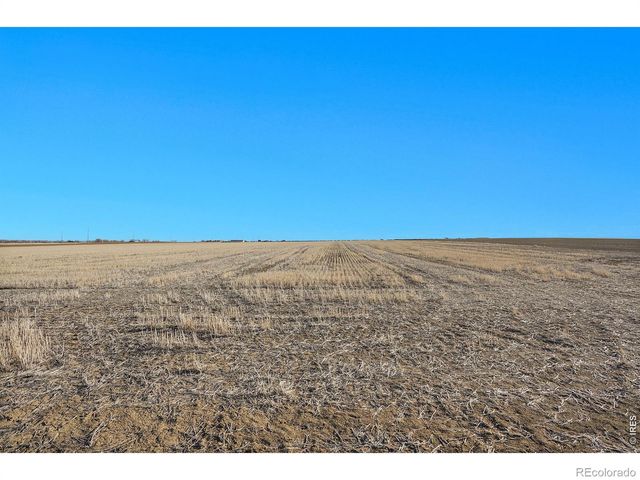Lot 4 CR 36 and WCR 3, Mead, CO 80542