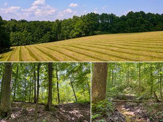 0 Wolf Hill Road, (Tract 3 Wolf Hill), Mcarthur, OH 45651